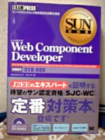 Web_Component_Developer