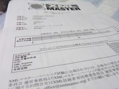 xml-master_report.jpg